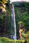 cascade.jpg (33634 octets)
